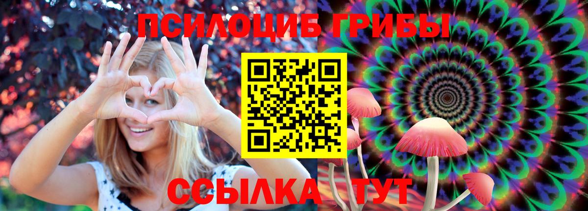 Приморско-Ахтарск  Псилоцибиновые грибы Cubensis  Вход с VPN 